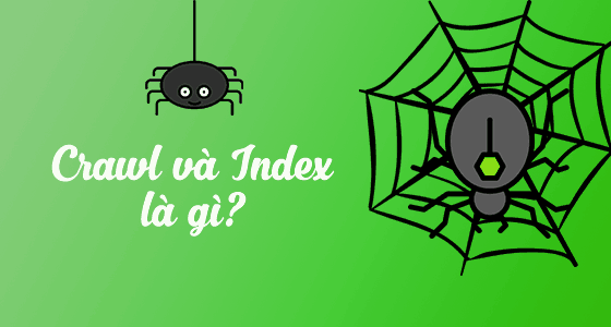 crawl và index là gì