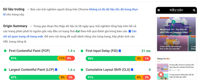 Google-PageSpeed-Insight