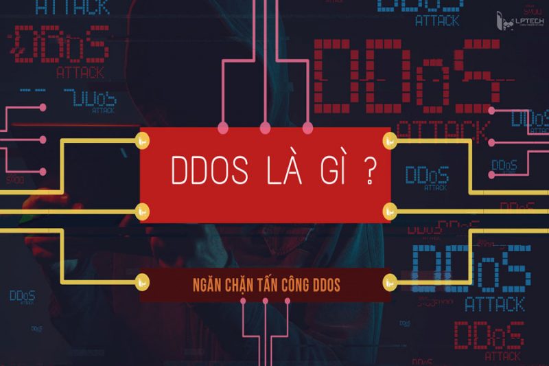 ddos-la-gi