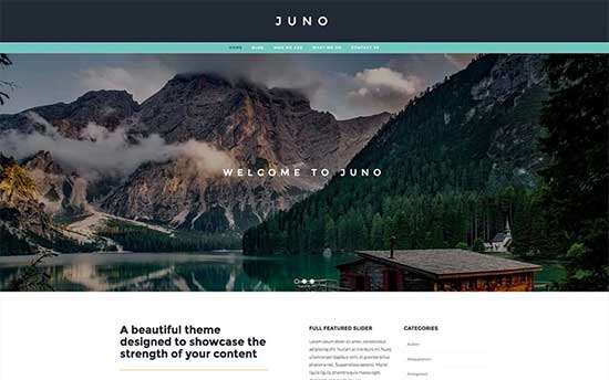 Juno-theme