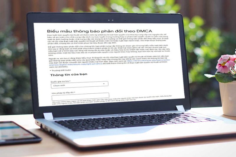 bieu-mau-khang-cao-dmca-2