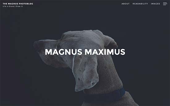 Magnus-theme