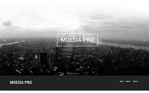 moesia-pro