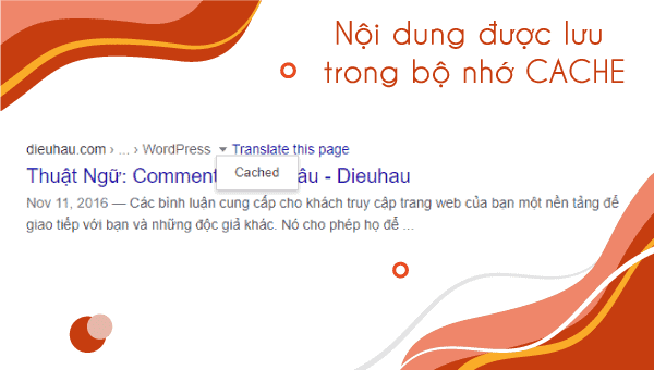 Công cụ tìm kiếm hoạt động như thế nào? 