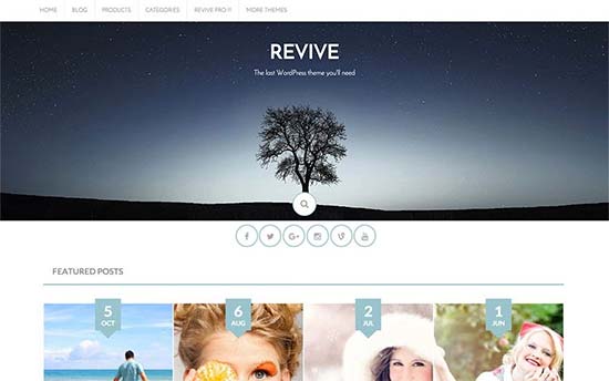 Revive-theme