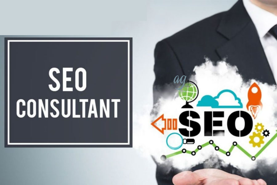 seo-consultant