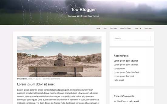 Tecblogger-theme