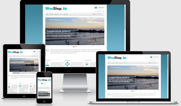 Theme WordPress WooCommerce Nếu bạn đề cao việc trình bày sản phẩm ấn tượng, WooShop Lite là theme không thể bỏ qua