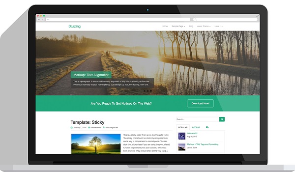 Dazzling có thể phục vụ mọi mục đích lập website và cũng là một theme hoàn toàn miễn phí